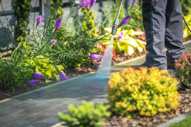 Best Brick and Stone Cleaning in Gate City, VA